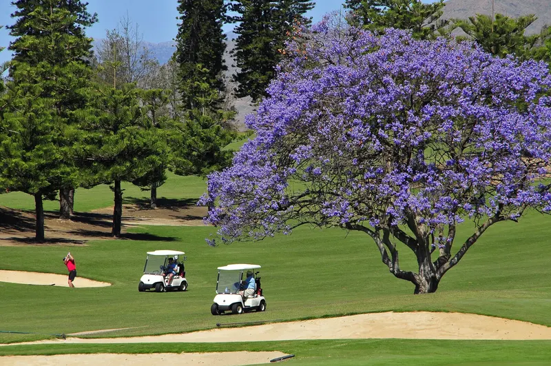 Golfbaan in Mijas